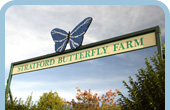 The Butterfly Farm, Stratford upon Avon